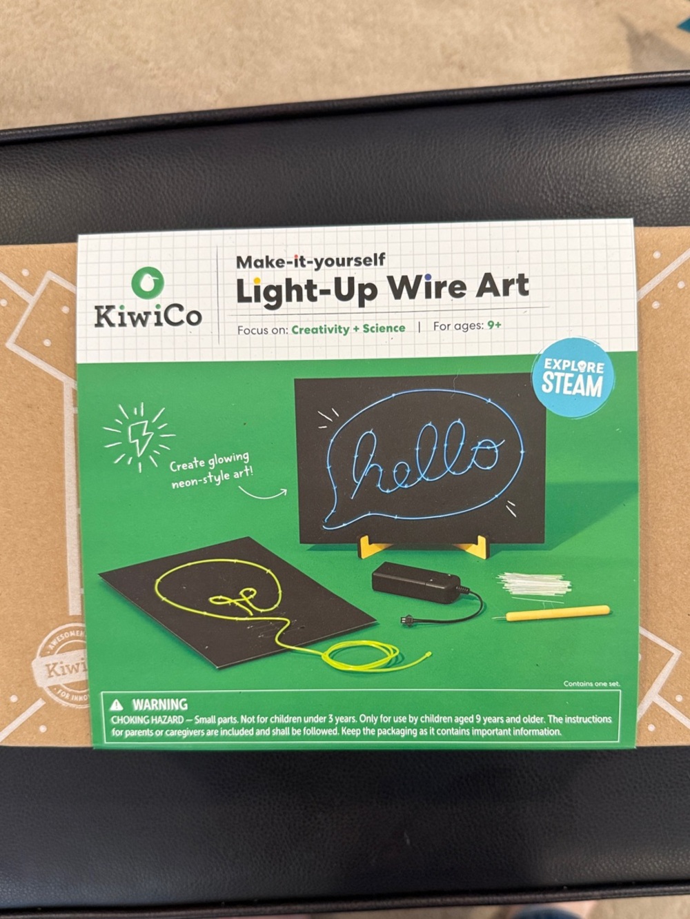 Kiwi Light-Up Wire Art Kit - Green & Blue Accents